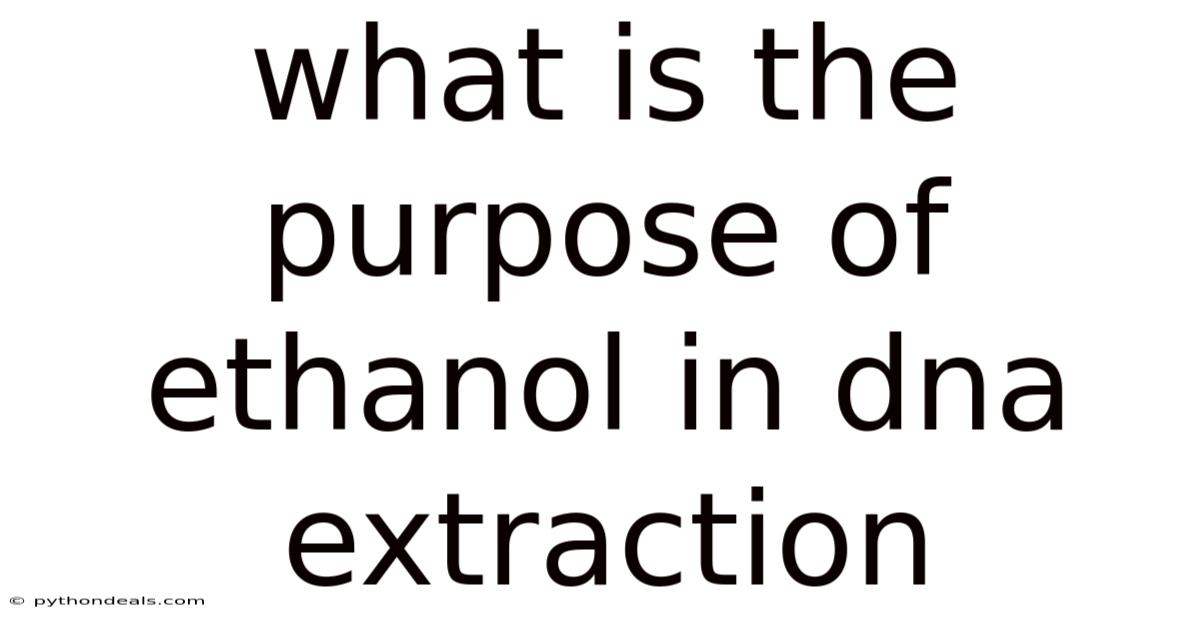 What Is The Purpose Of Ethanol In Dna Extraction
