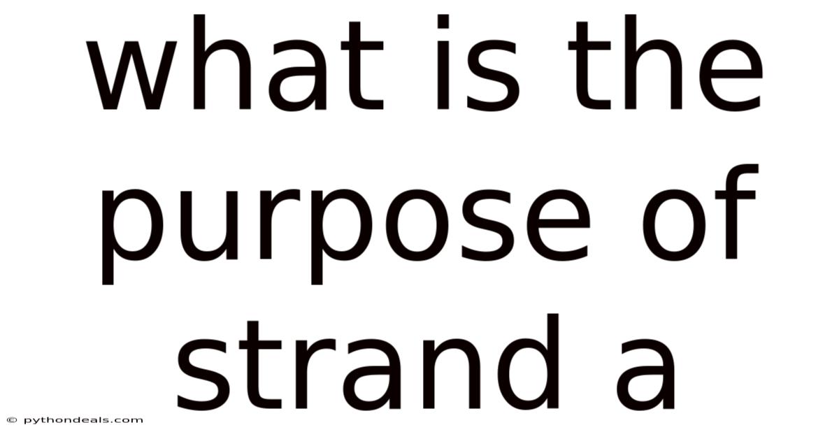 What Is The Purpose Of Strand A