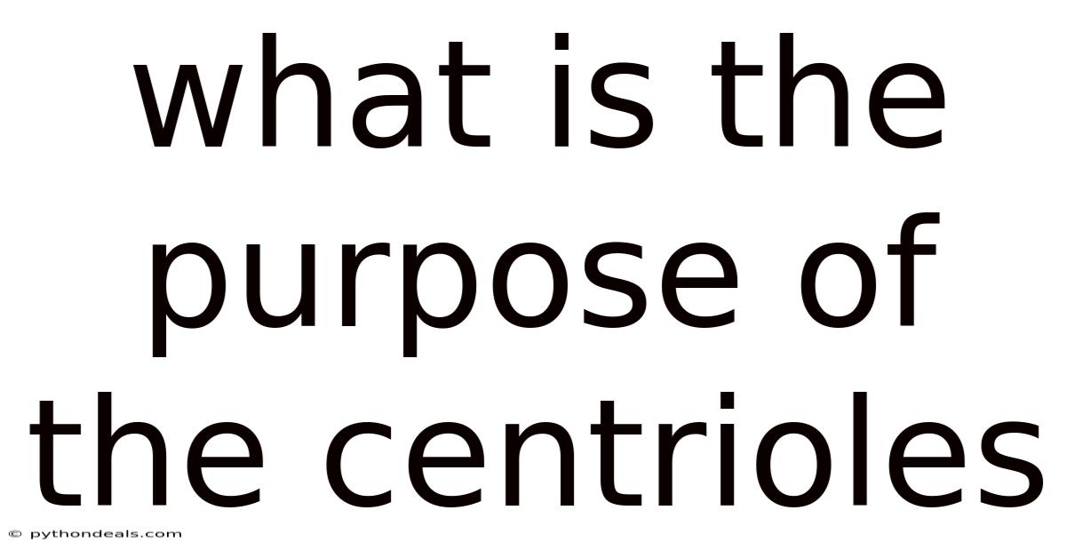 What Is The Purpose Of The Centrioles