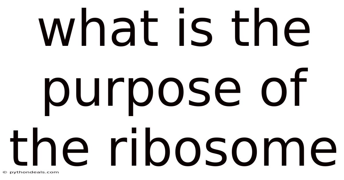 What Is The Purpose Of The Ribosome