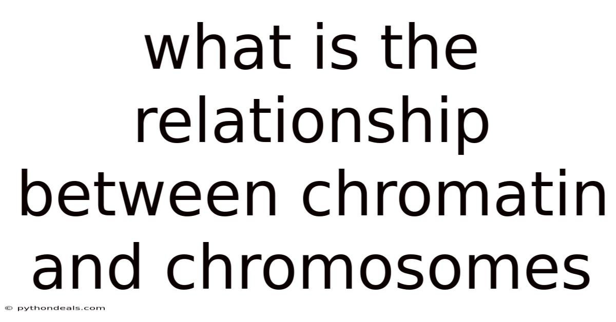 What Is The Relationship Between Chromatin And Chromosomes