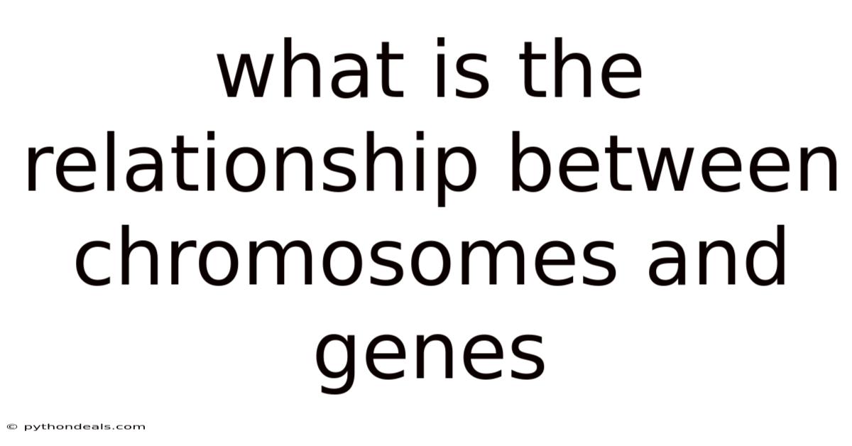 What Is The Relationship Between Chromosomes And Genes