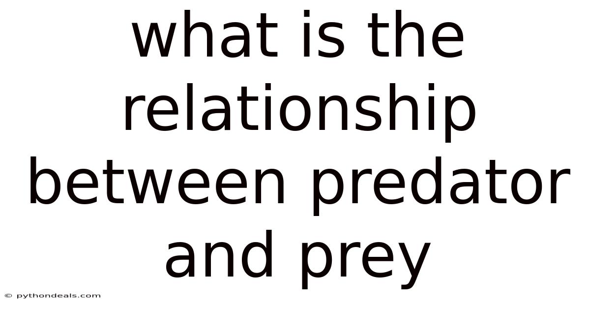 What Is The Relationship Between Predator And Prey