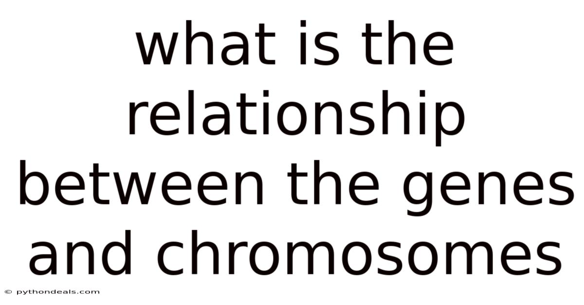 What Is The Relationship Between The Genes And Chromosomes