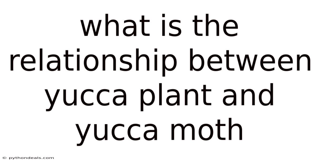 What Is The Relationship Between Yucca Plant And Yucca Moth
