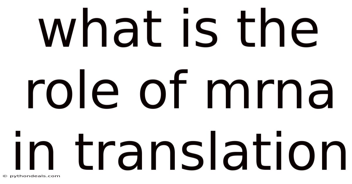 What Is The Role Of Mrna In Translation
