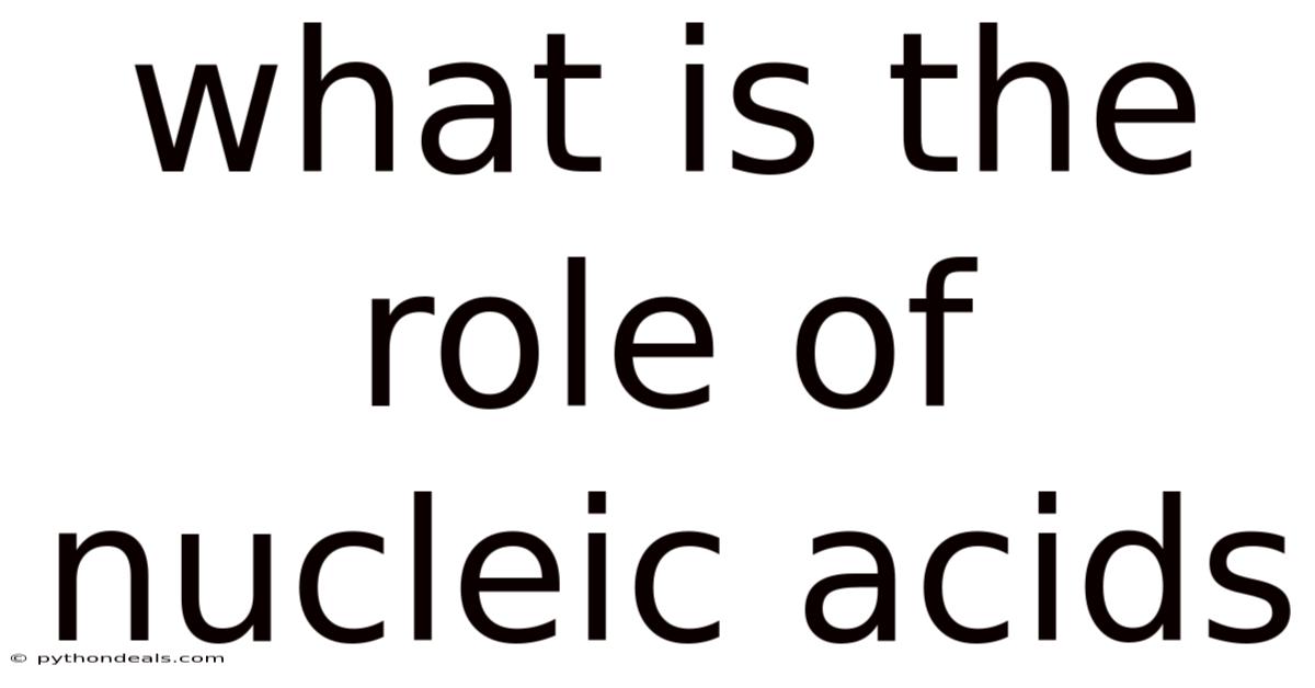 What Is The Role Of Nucleic Acids