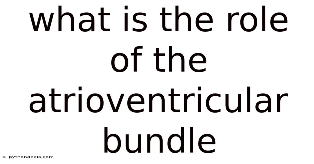 What Is The Role Of The Atrioventricular Bundle