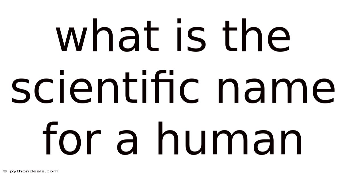 What Is The Scientific Name For A Human