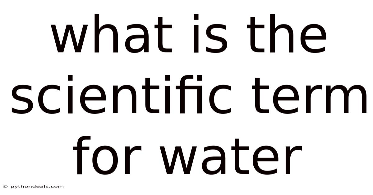 What Is The Scientific Term For Water