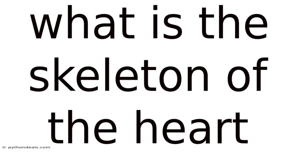 What Is The Skeleton Of The Heart