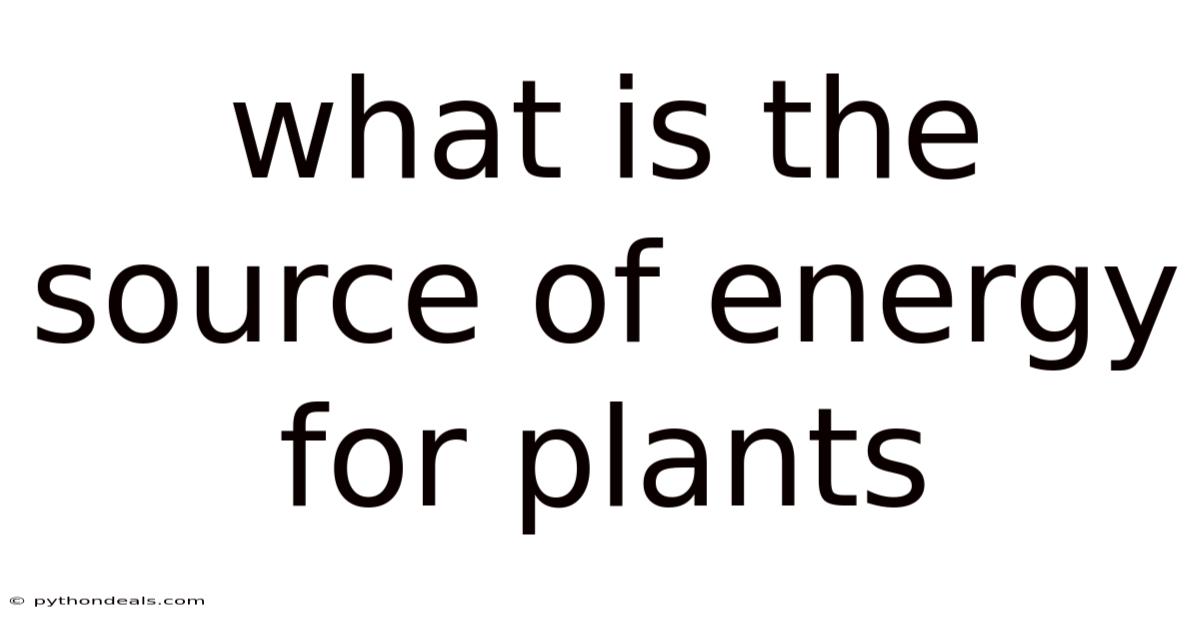 What Is The Source Of Energy For Plants