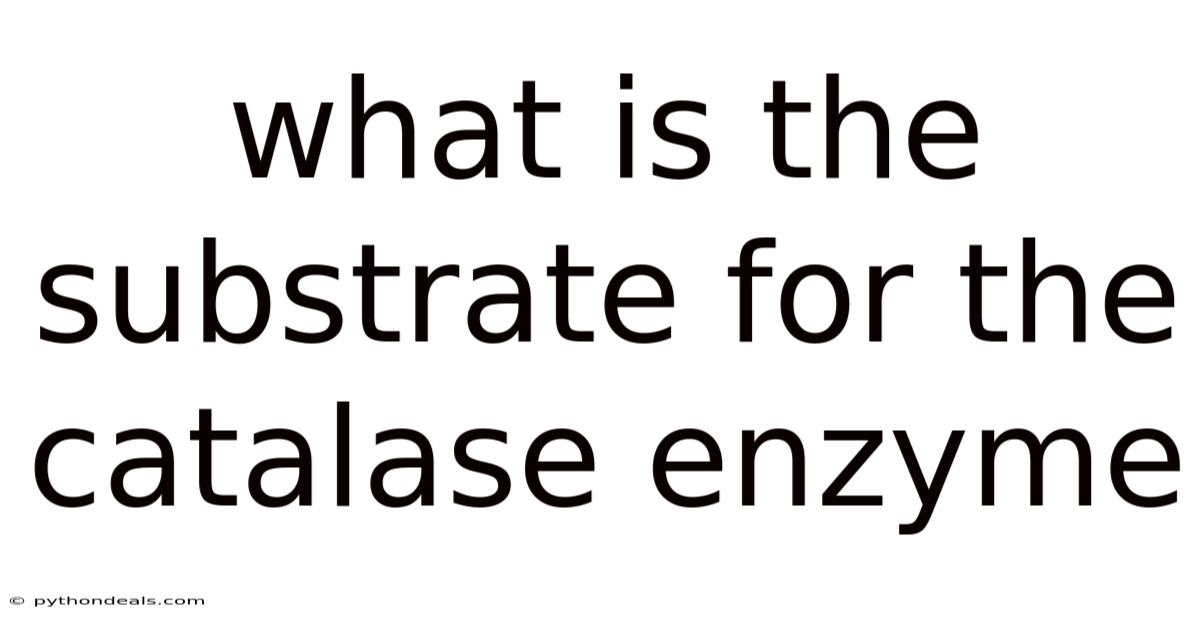 What Is The Substrate For The Catalase Enzyme