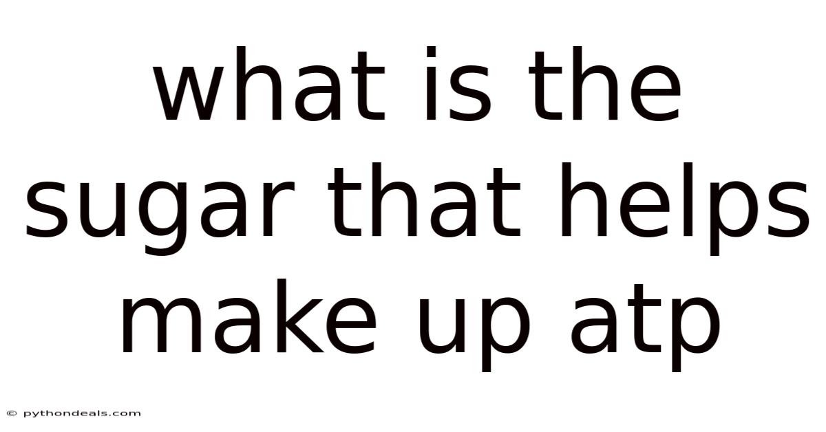 What Is The Sugar That Helps Make Up Atp