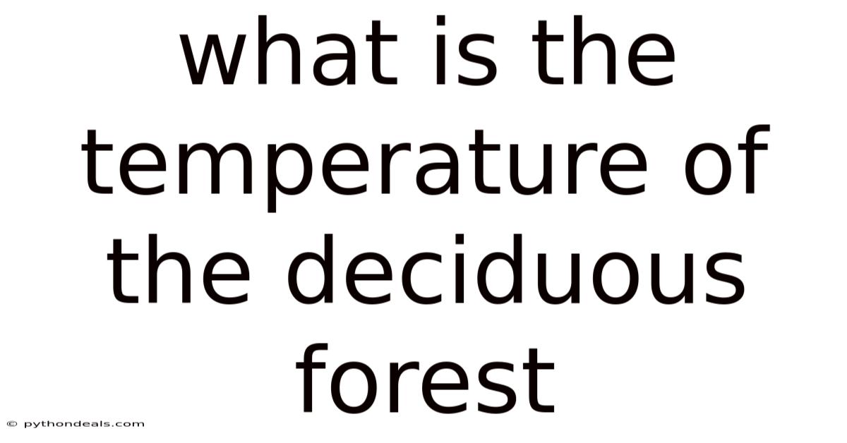 What Is The Temperature Of The Deciduous Forest