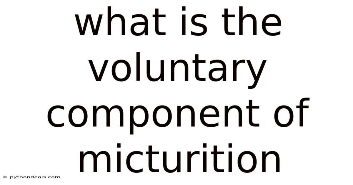 What Is The Voluntary Component Of Micturition