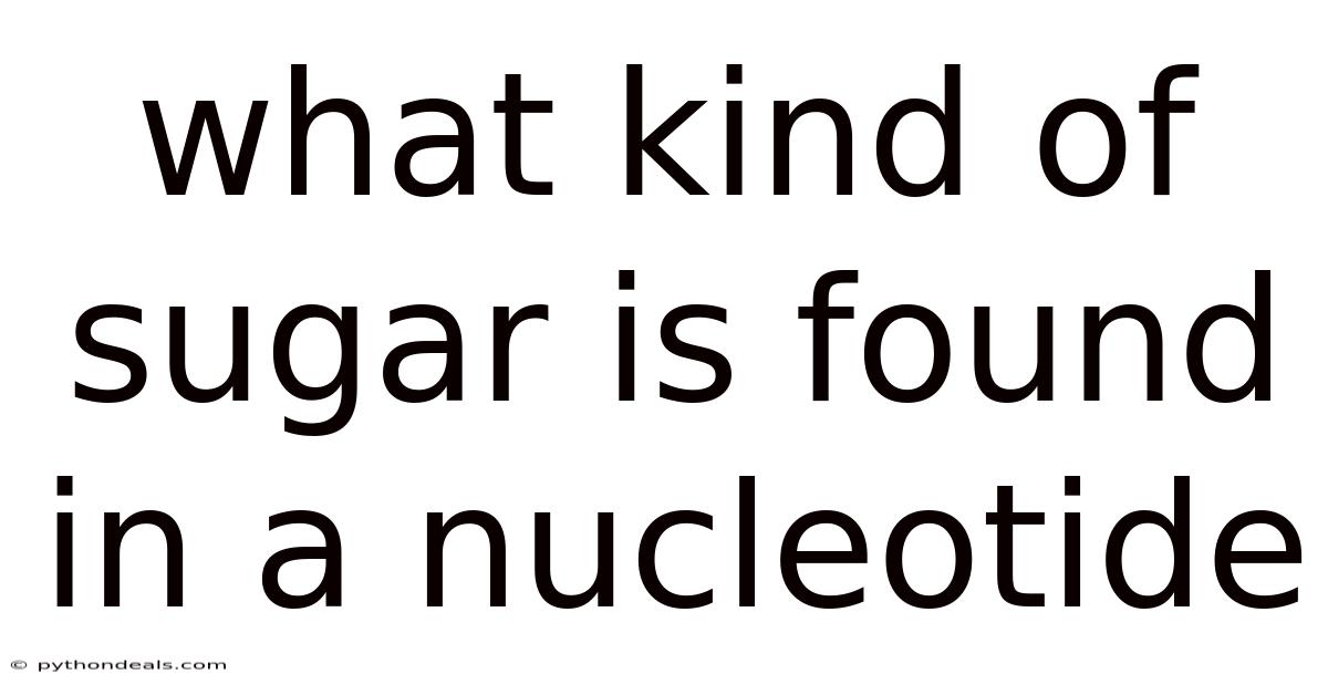 What Kind Of Sugar Is Found In A Nucleotide
