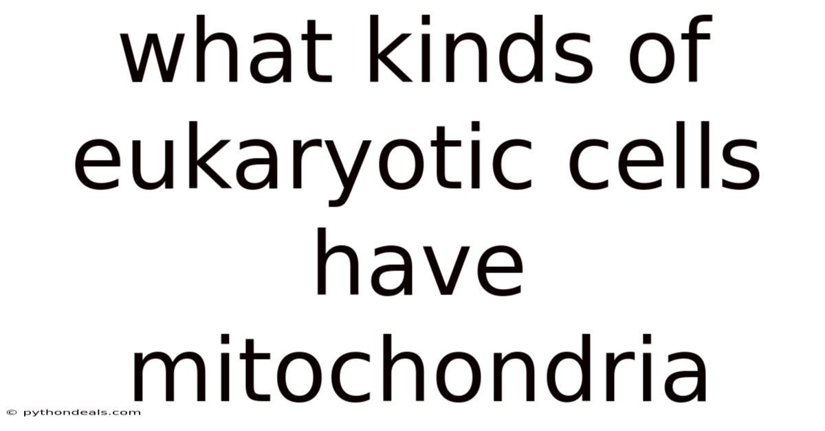 What Kinds Of Eukaryotic Cells Have Mitochondria