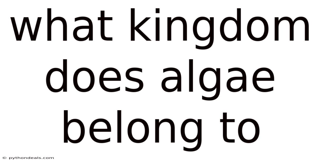 What Kingdom Does Algae Belong To