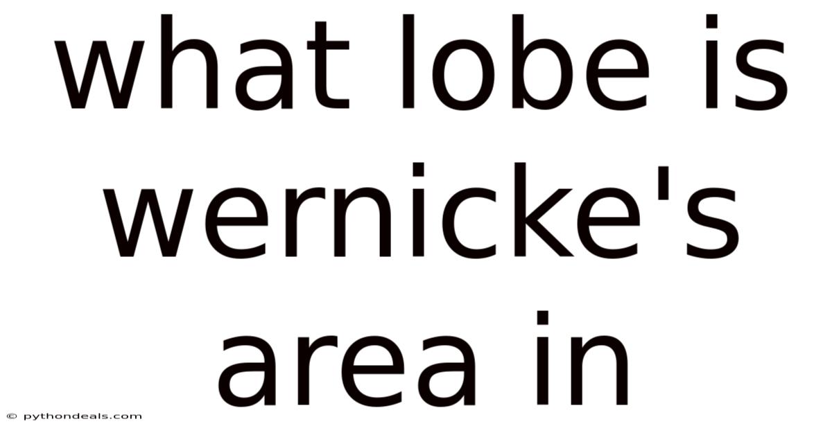 What Lobe Is Wernicke's Area In