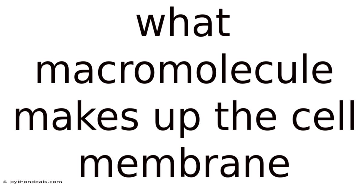 What Macromolecule Makes Up The Cell Membrane
