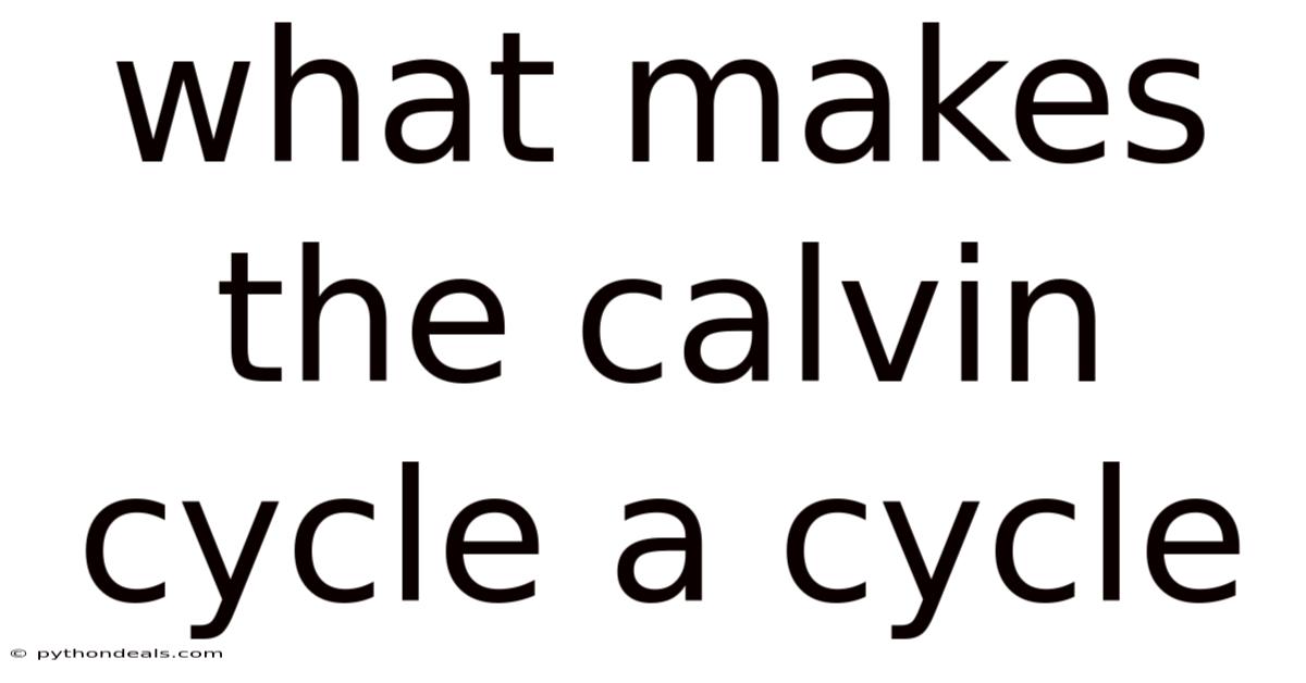 What Makes The Calvin Cycle A Cycle
