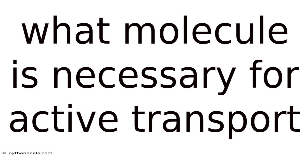 What Molecule Is Necessary For Active Transport