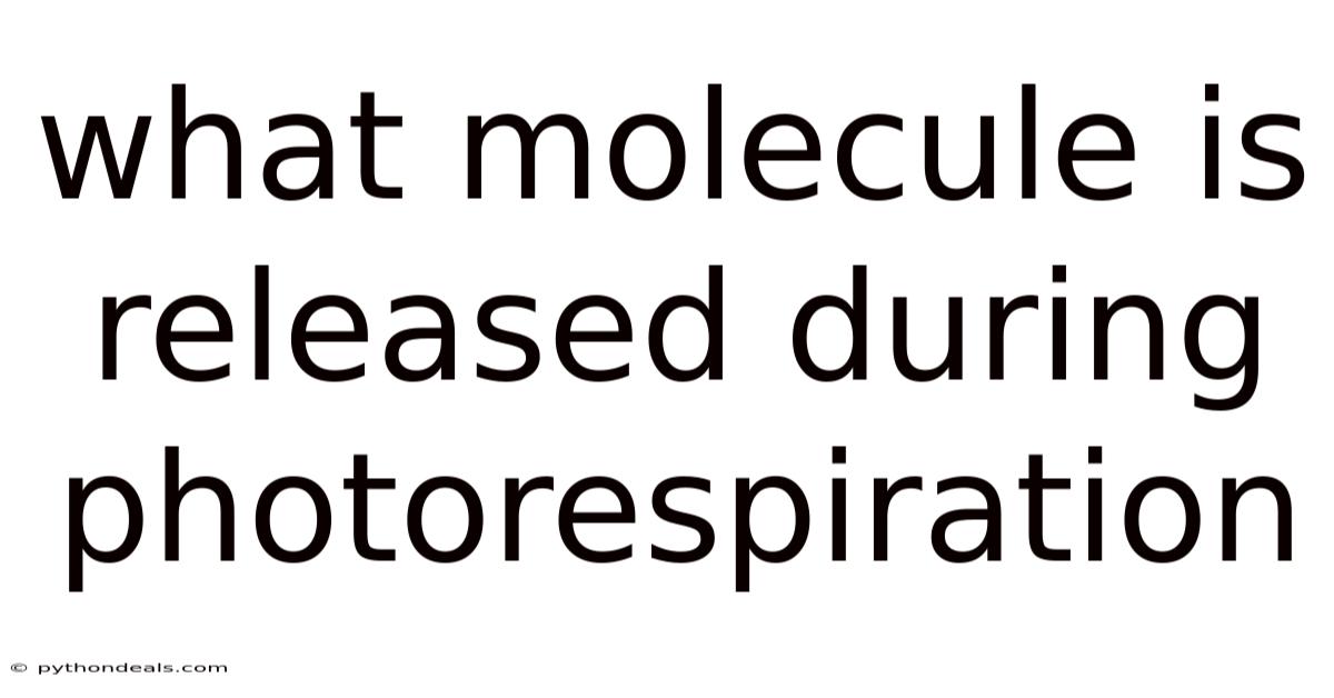 What Molecule Is Released During Photorespiration