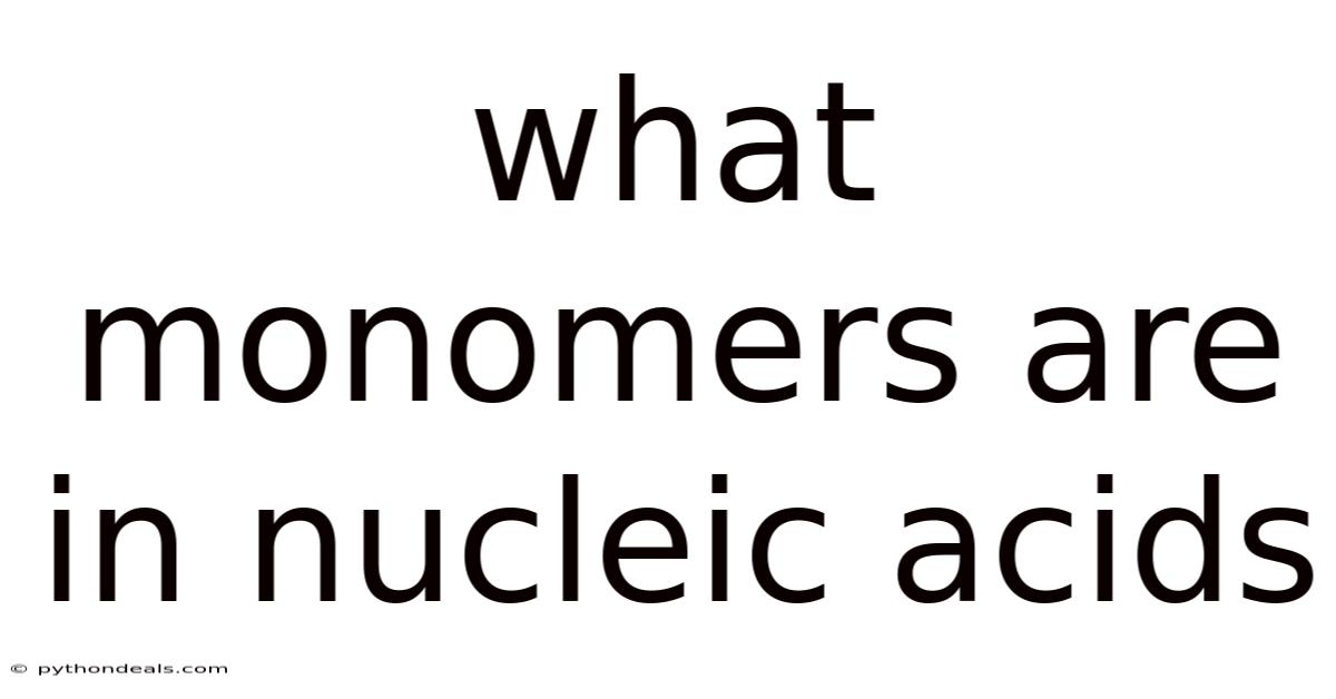 What Monomers Are In Nucleic Acids