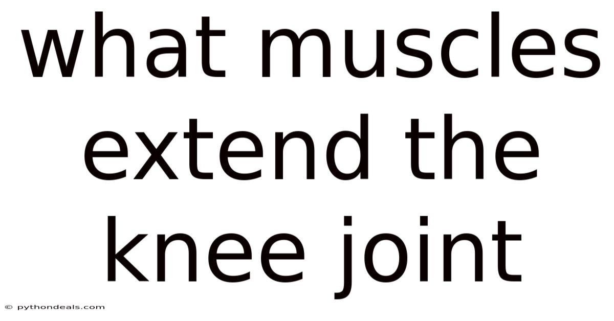 What Muscles Extend The Knee Joint