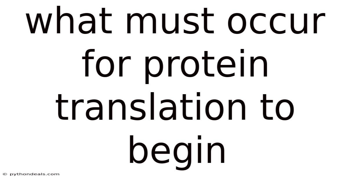 What Must Occur For Protein Translation To Begin
