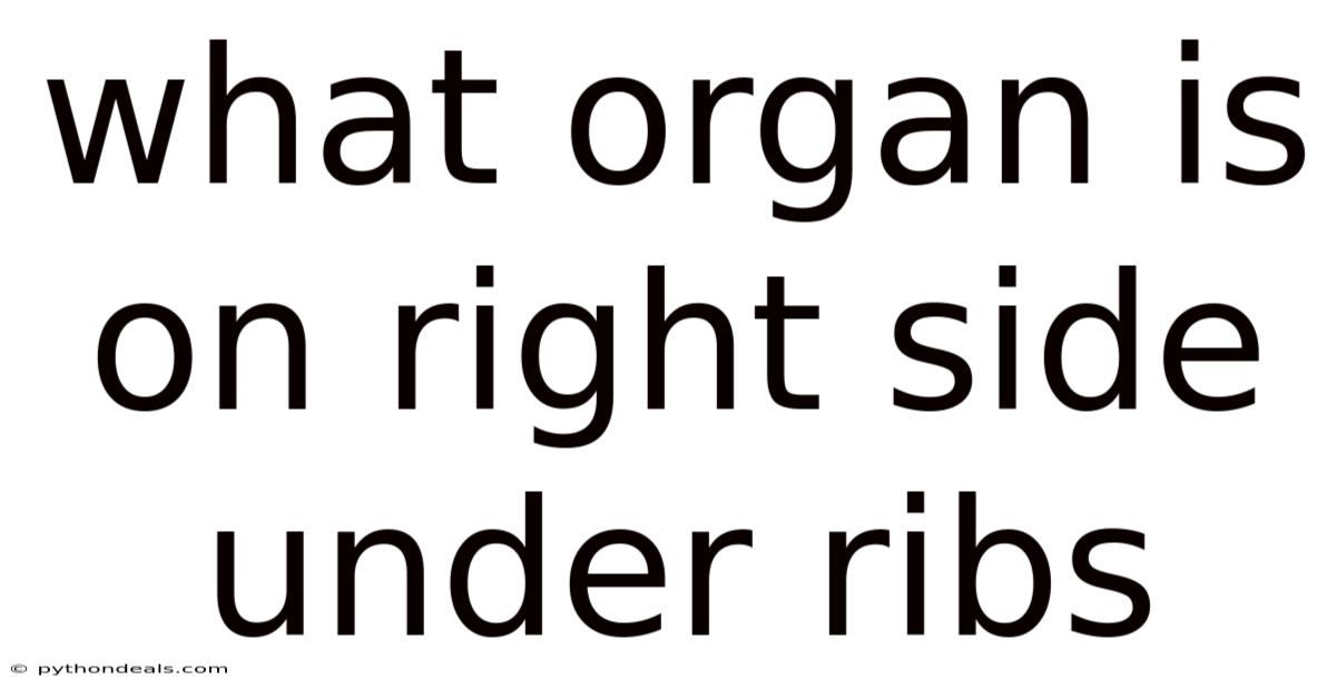 What Organ Is On Right Side Under Ribs