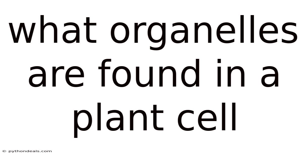 What Organelles Are Found In A Plant Cell