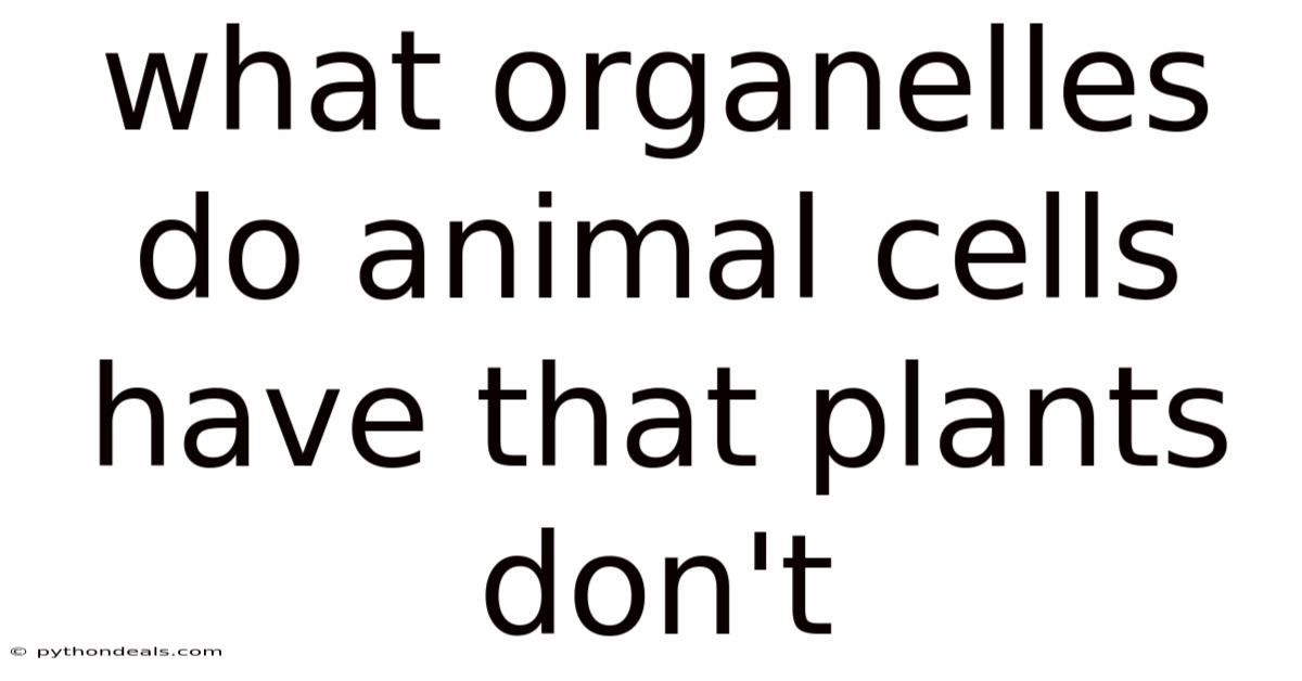 What Organelles Do Animal Cells Have That Plants Don't