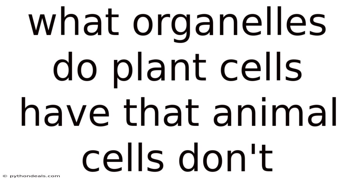 What Organelles Do Plant Cells Have That Animal Cells Don't