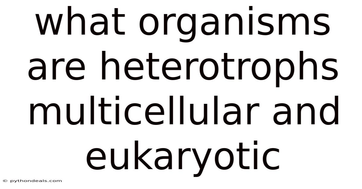 What Organisms Are Heterotrophs Multicellular And Eukaryotic