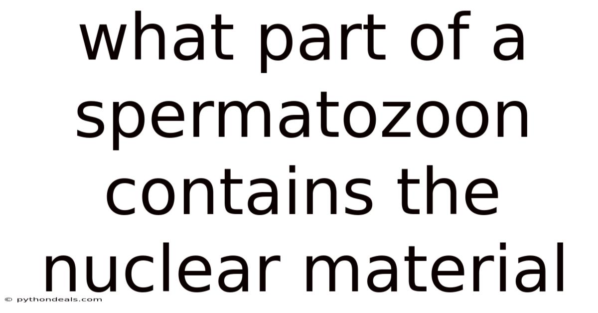 What Part Of A Spermatozoon Contains The Nuclear Material