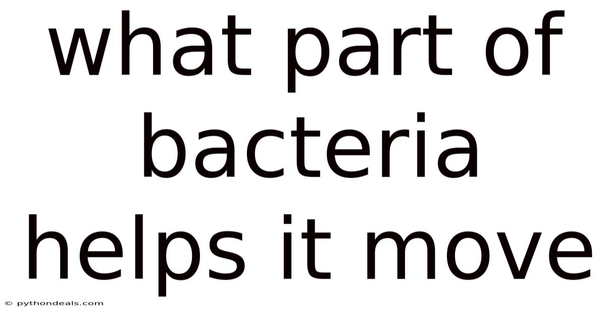 What Part Of Bacteria Helps It Move