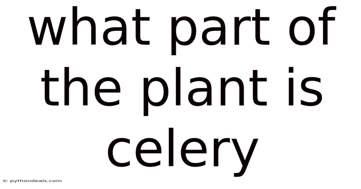 What Part Of The Plant Is Celery