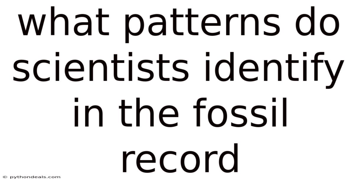 What Patterns Do Scientists Identify In The Fossil Record