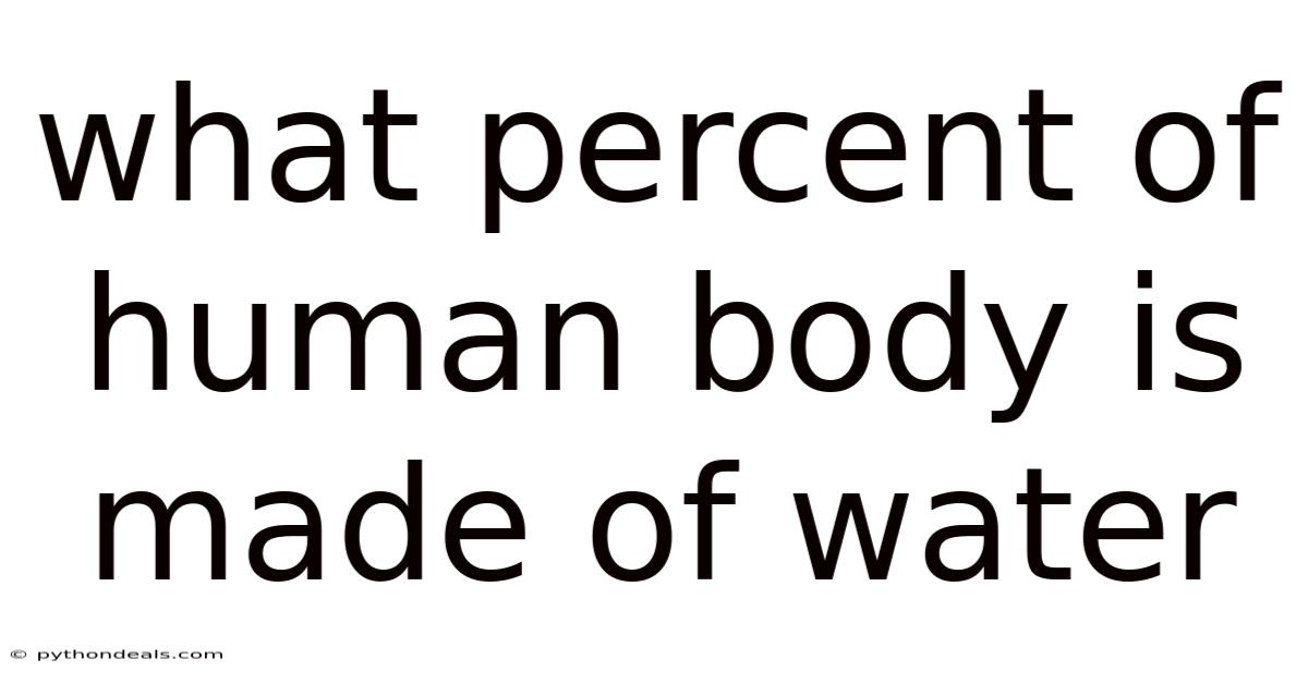What Percent Of Human Body Is Made Of Water
