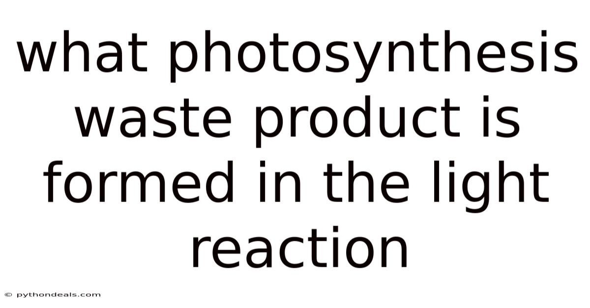 What Photosynthesis Waste Product Is Formed In The Light Reaction