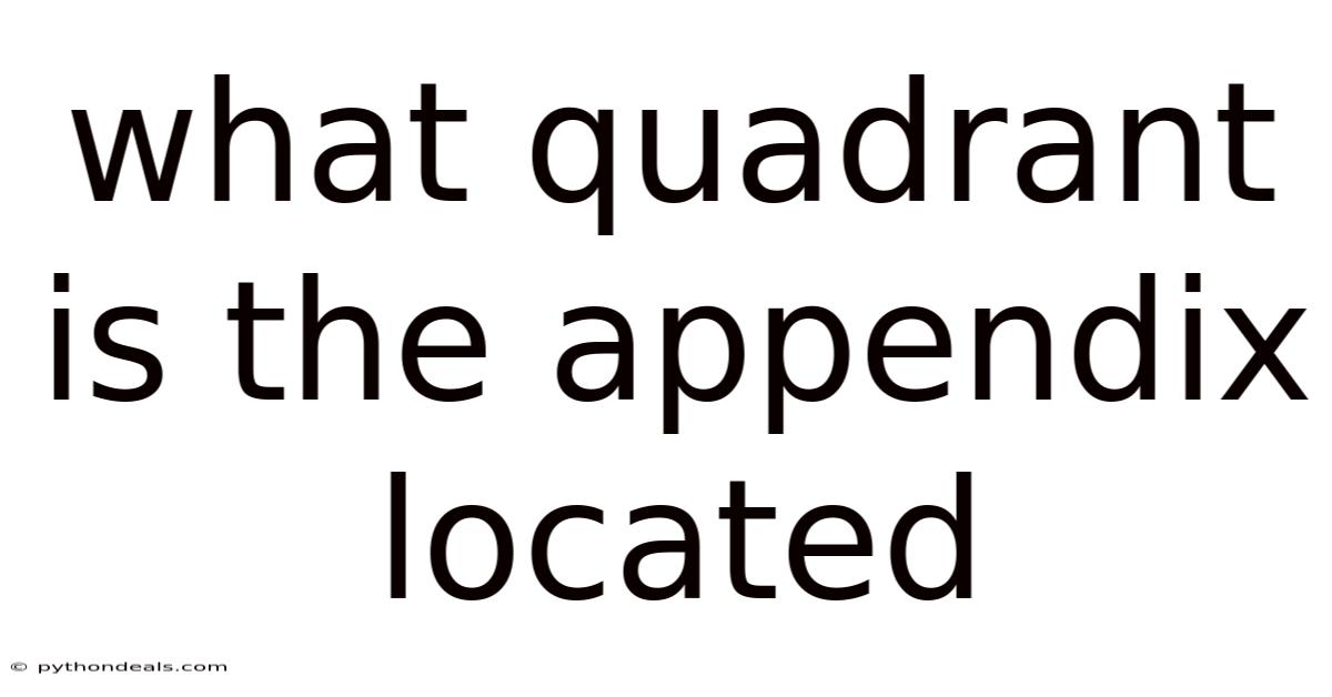 What Quadrant Is The Appendix Located