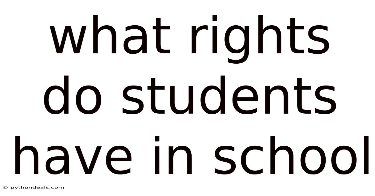 What Rights Do Students Have In School