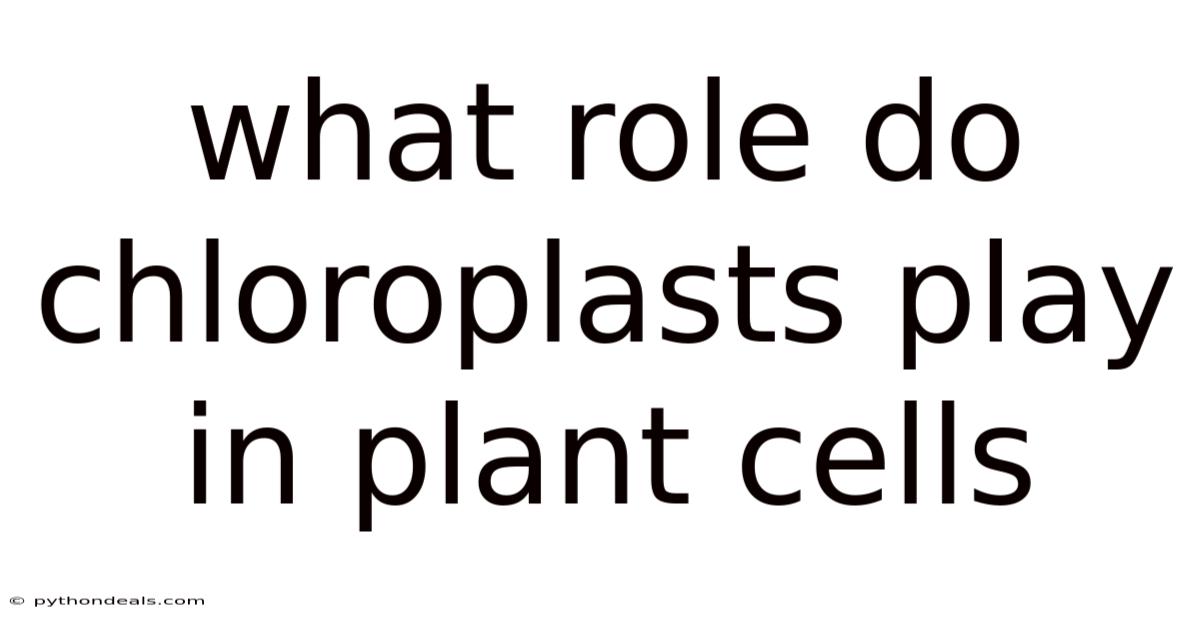 What Role Do Chloroplasts Play In Plant Cells