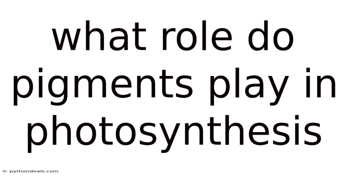 What Role Do Pigments Play In Photosynthesis
