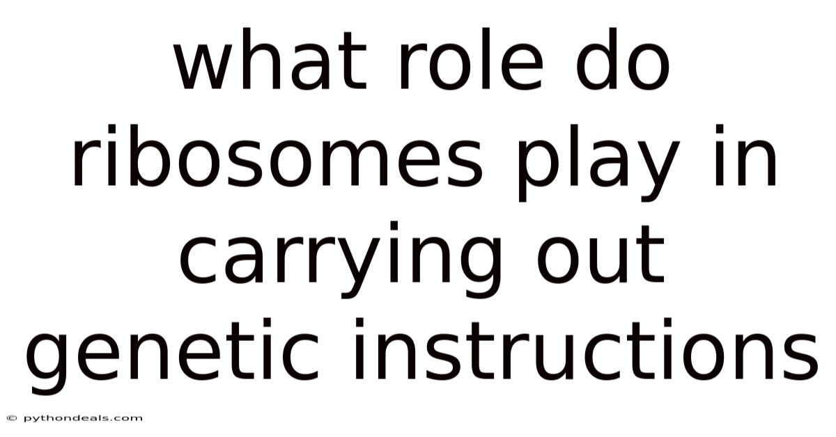 What Role Do Ribosomes Play In Carrying Out Genetic Instructions