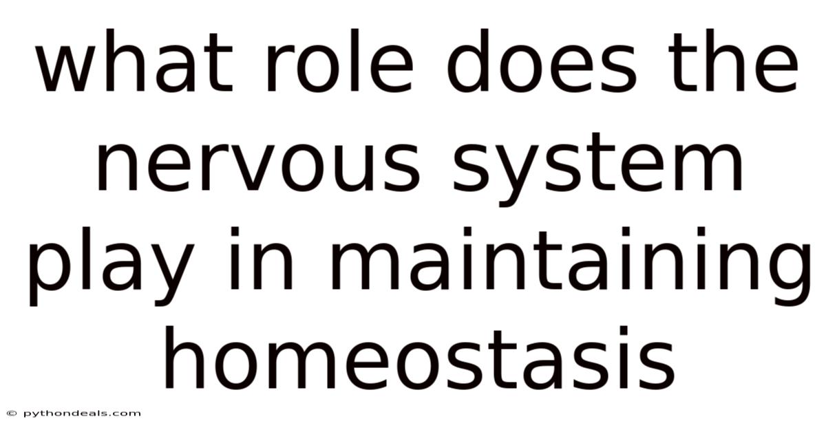What Role Does The Nervous System Play In Maintaining Homeostasis