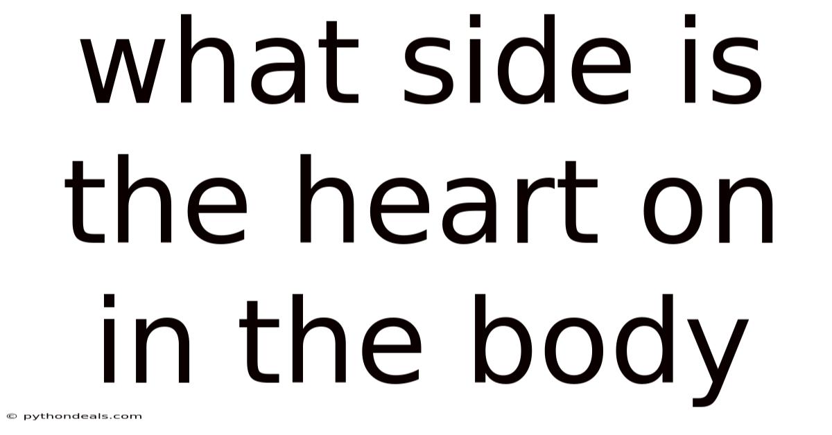 What Side Is The Heart On In The Body