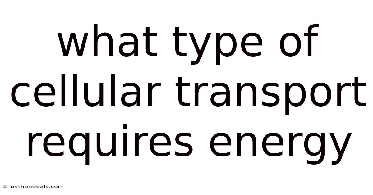 What Type Of Cellular Transport Requires Energy